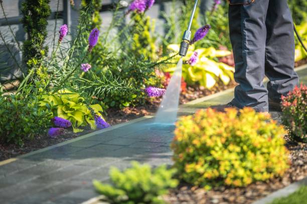 Best Driveway Cleaning and Restoration in Spirit Lake, IA